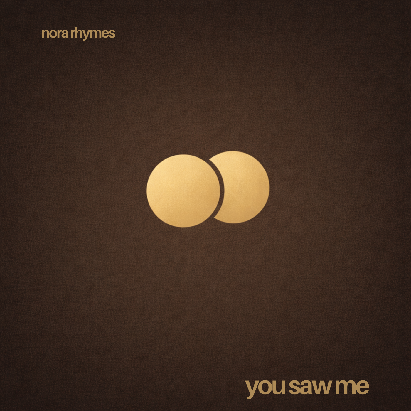 You Saw Me artwork